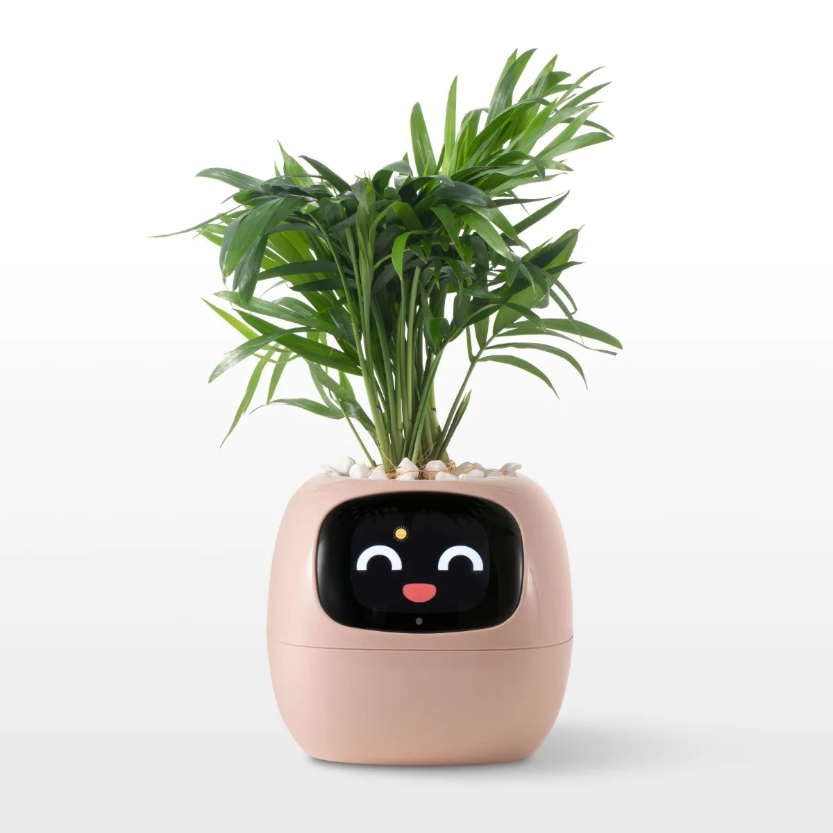 The Pixi Planter