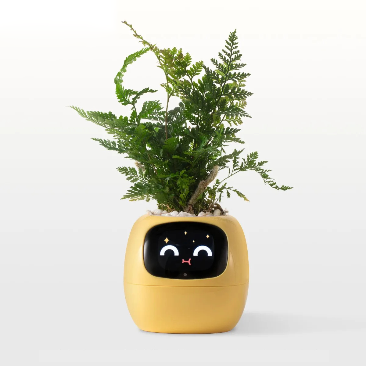 The Pixi Planter