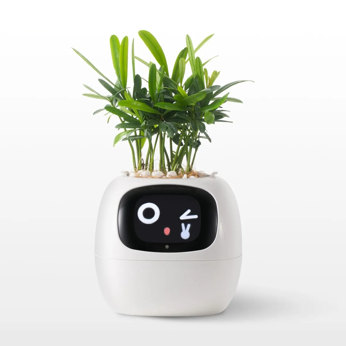 The Pixi Planter