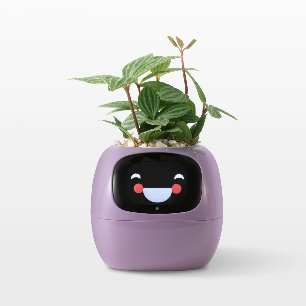 The Pixi Planter