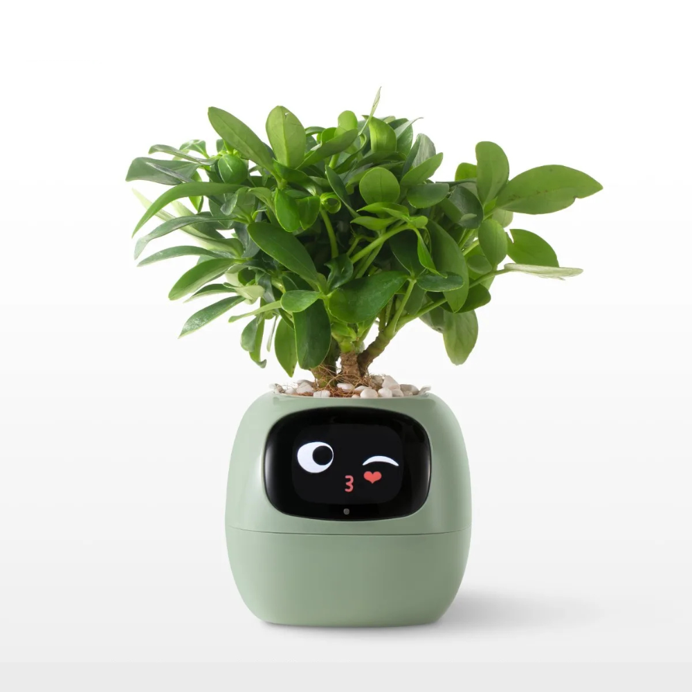 The Pixi Planter